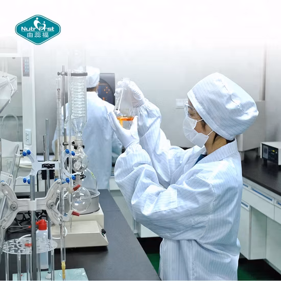 Extrait de plante de champignon de crinière de lion biologique Hericium Erinaceus Reishi Cordyceps Militaris poudre de fines herbes de champignon